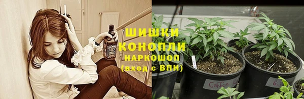 mdpv Богородск