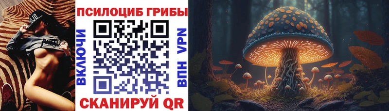 Псилоцибиновые грибы Psilocybe Невель
